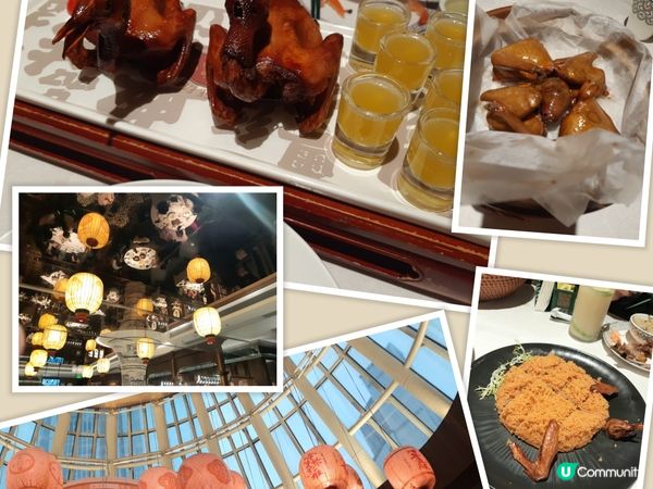 ## 深圳米芝蓮大鴿飯 🐦🥢  食評！