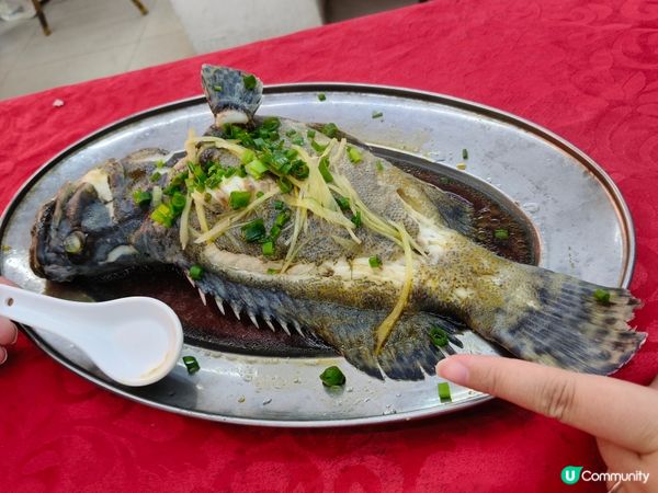 台山廣海，鮮味之旅 🐟🌊