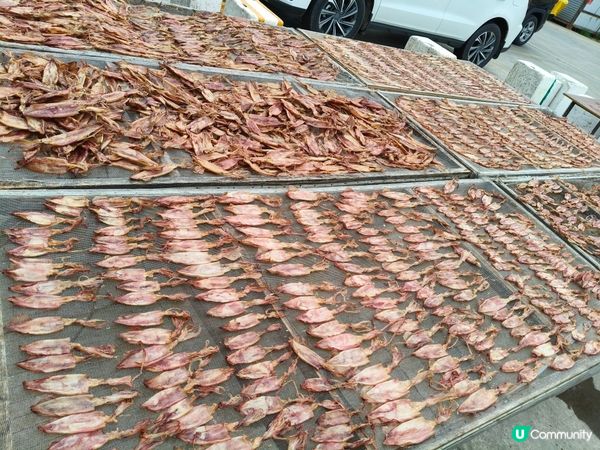 台山廣海，鮮味之旅 🐟🌊