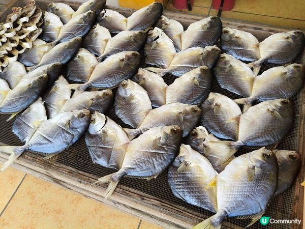 台山廣海，鮮味之旅 🐟🌊