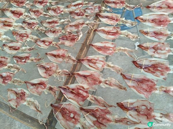 台山廣海，鮮味之旅 🐟🌊