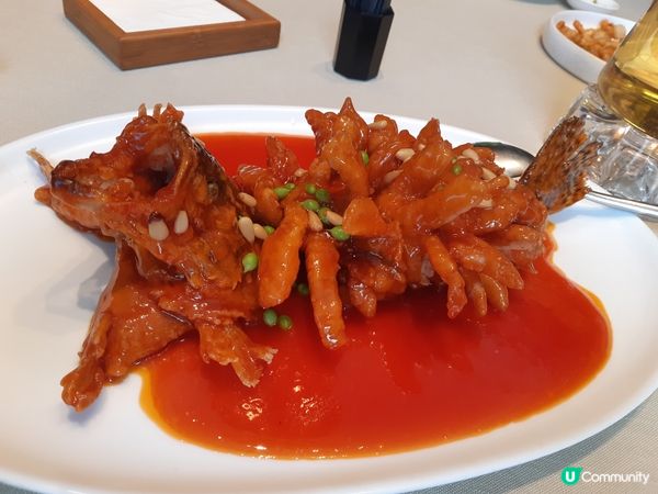 深圳米芝蓮🦆 1949全鴨季，片皮鴨正🔥