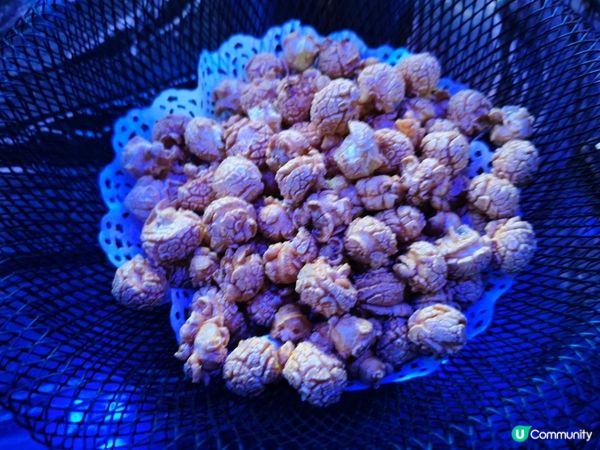 深圳后海站🎤🎶 夜探魅：驚喜音樂小確幸！