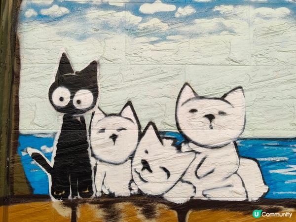 【屯門雞煲🤤！再來一煲辣到飛起🔥】