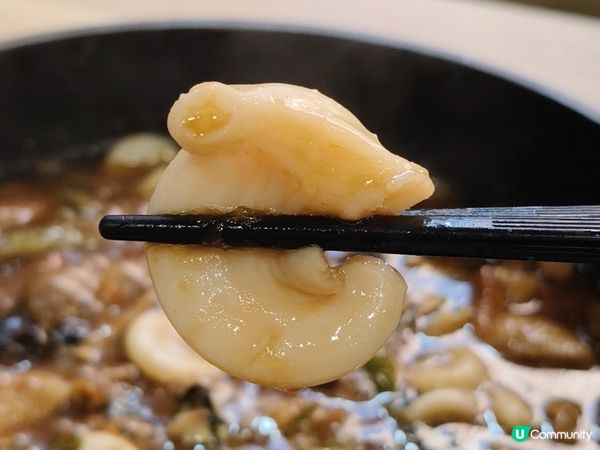 【屯門雞煲🤤！再來一煲辣到飛起🔥】