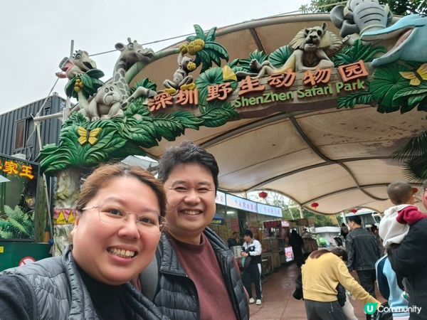 深圳野生動物園記：企定定討食的黑熊與淡定水豚