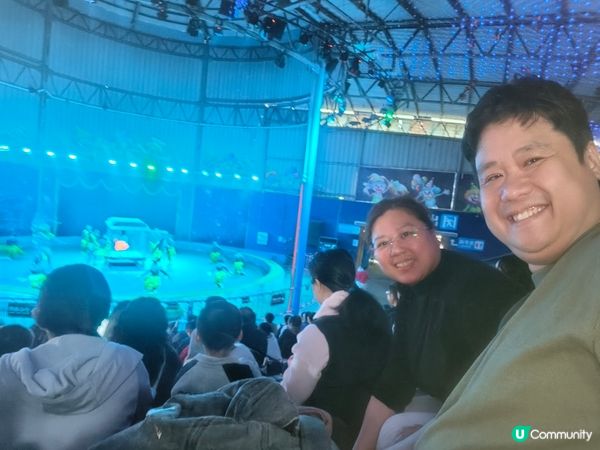 深圳野生動物園記：企定定討食的黑熊與淡定水豚