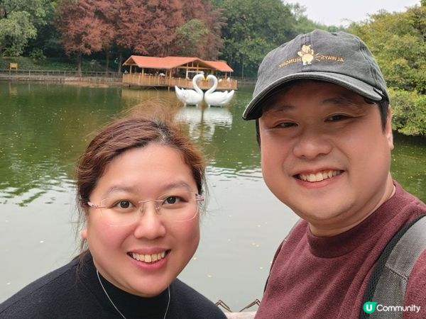 深圳野生動物園記：企定定討食的黑熊與淡定水豚