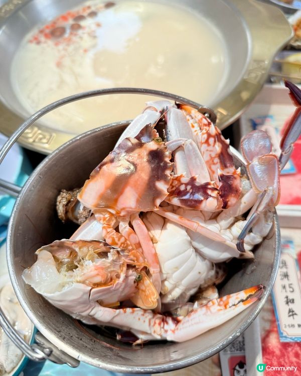 自助撈海鮮火鍋放題