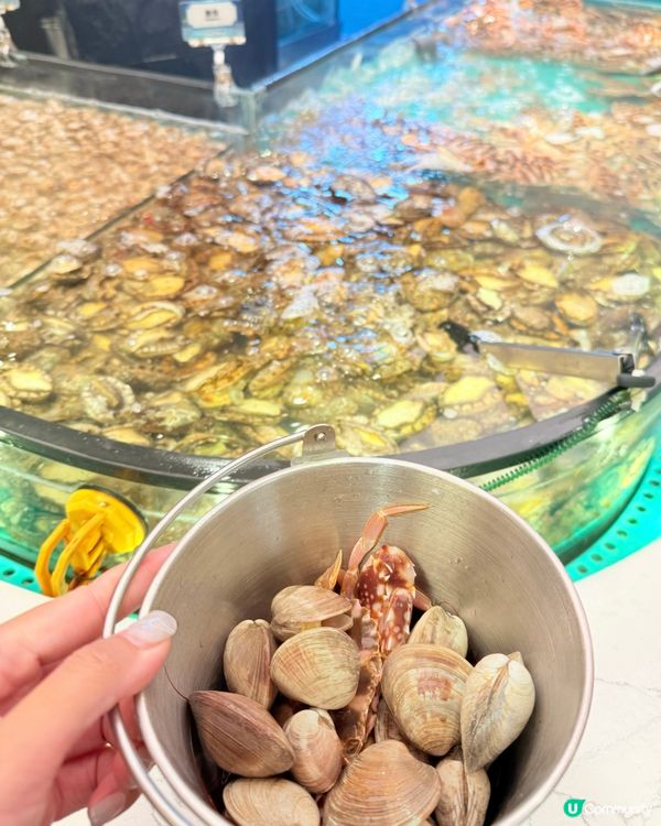 自助撈海鮮火鍋放題