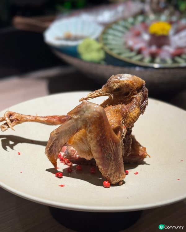 見老友飲清酒💝灣仔居酒屋超級正🍶🥢