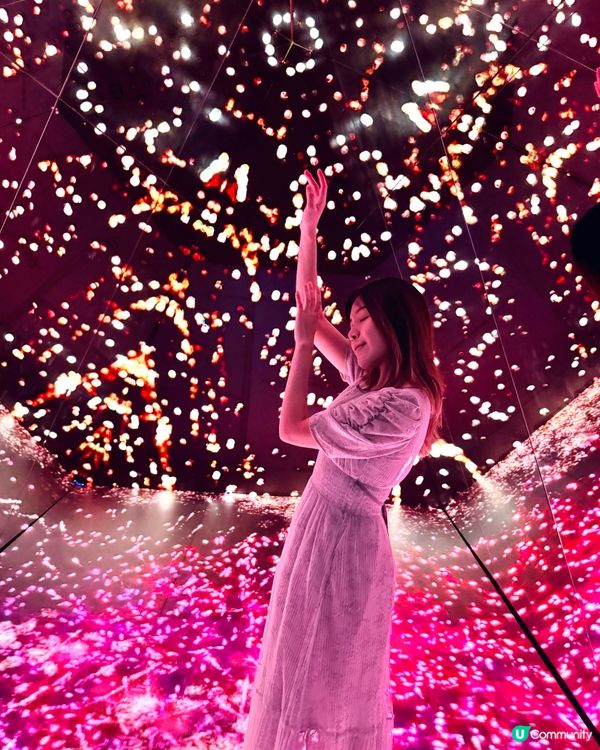 夢幻光影打卡展覽🎆