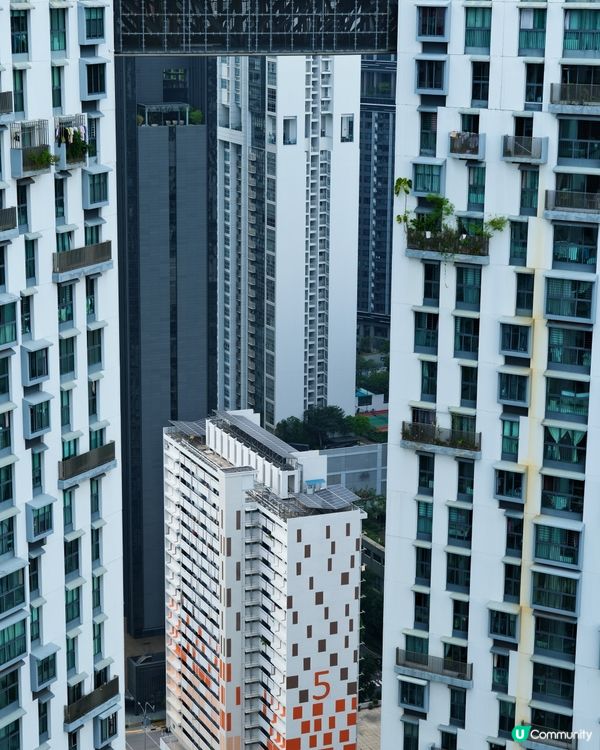 新加坡 CBD 海景景觀 最靚空中花園組屋