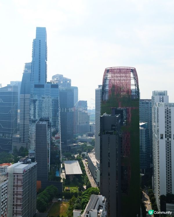 新加坡 CBD 海景景觀 最靚空中花園組屋