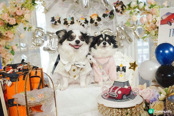 Happy Birthday to Cooper