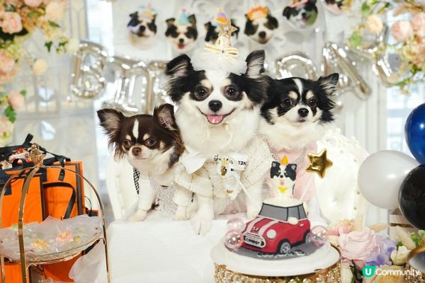 Happy Birthday to Cooper