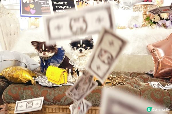 Happy Birthday to Cooper