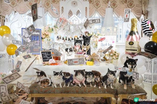 Happy Birthday to Cooper