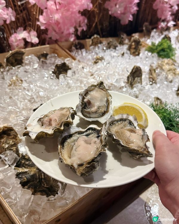 公仔畫碟驚喜😍銅鑼灣自助餐💯