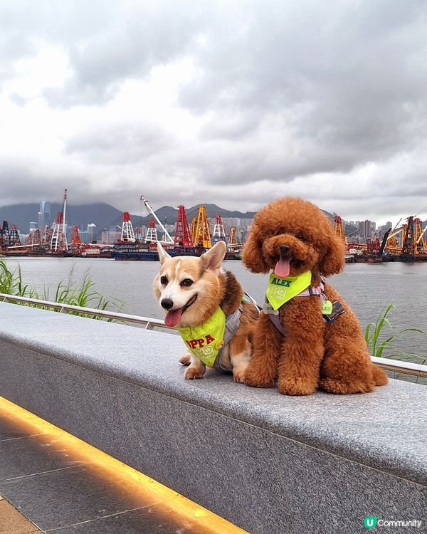 🍓今晚睇「草莓月亮」🌕