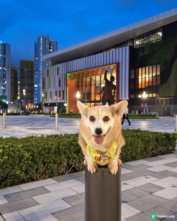 🍓今晚睇「草莓月亮」🌕