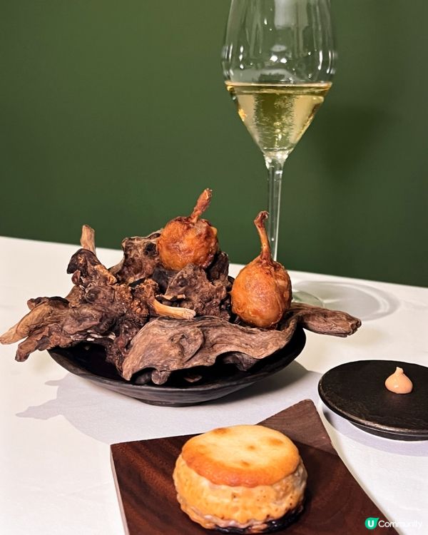 志JEE 🥰 親民價歎到米芝蓮推介粵法菜