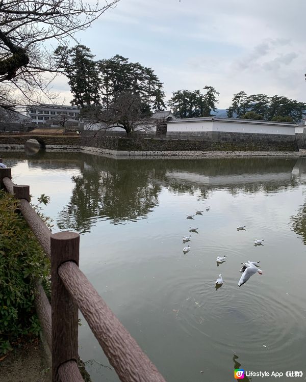 日本戰國不落之城！歷史迷朝聖必到! 小田原城