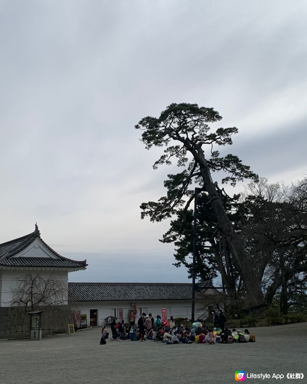 日本戰國不落之城！歷史迷朝聖必到! 小田原城