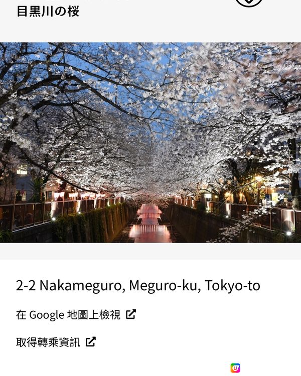 最新櫻花開花預測地圖！三大賞花景點推介-東京篇！你去過未？