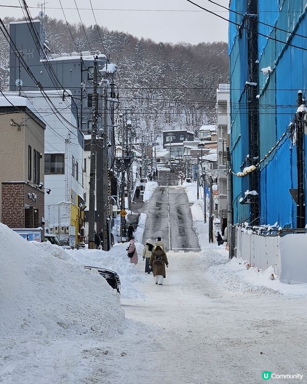 北海道雪景❄️食蟹🦀抵玩！