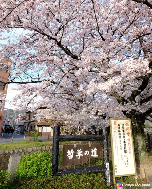 京都 哲學之道