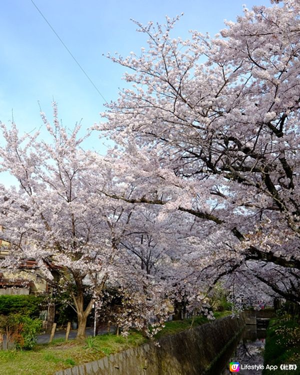 京都 哲學之道