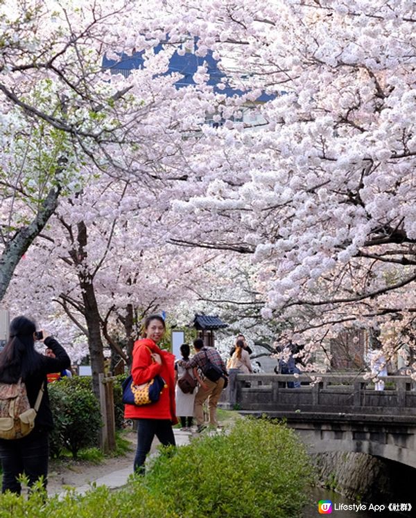 京都 哲學之道