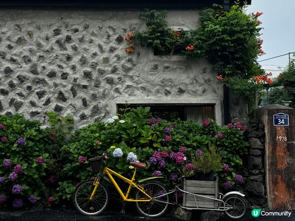 濟洲人氣橘子主題cafe打卡熱點😍 Flower attic