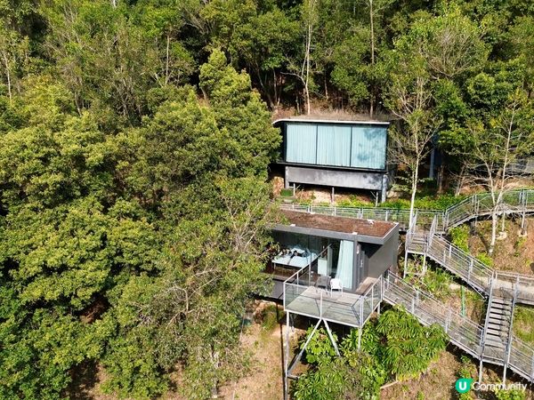 梅州🌸客家文化之旅，茶田櫻花美景！