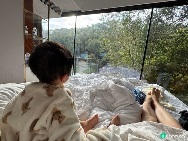 梅州🌸客家文化之旅，茶田櫻花美景！