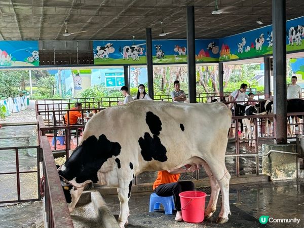 深圳光明區吃吃吃