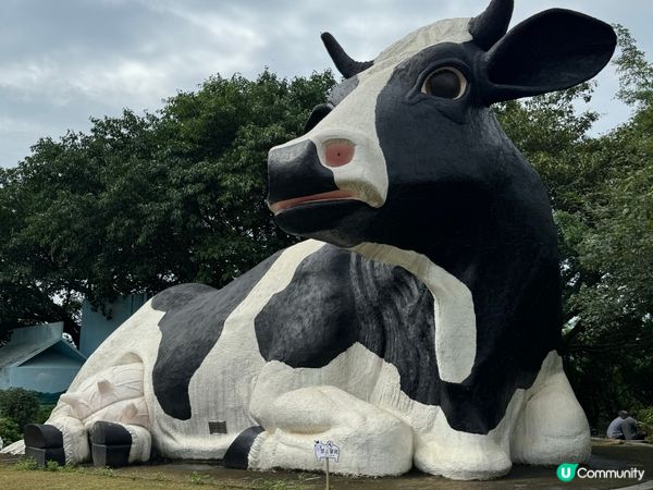 深圳光明區吃吃吃