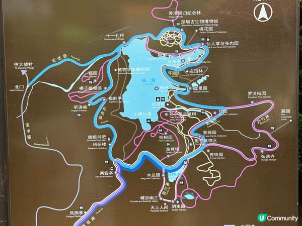 走進深圳仙湖植物園