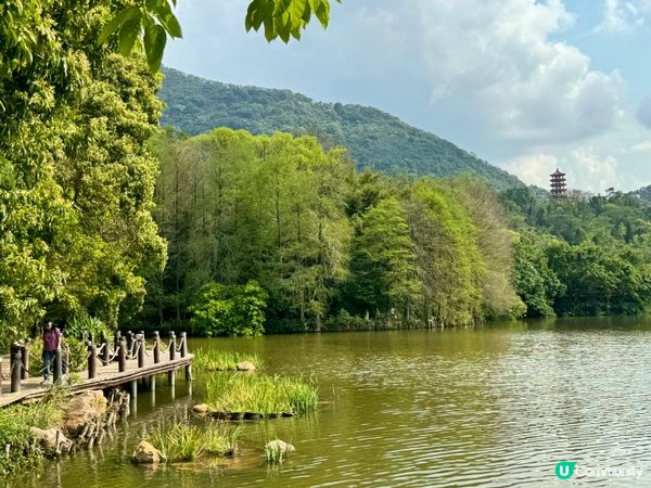 走進深圳仙湖植物園