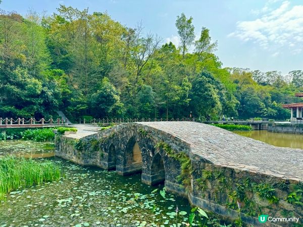 走進深圳仙湖植物園