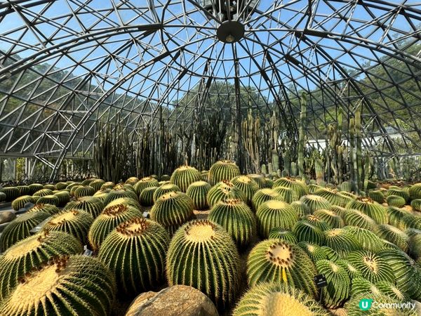 走進深圳仙湖植物園