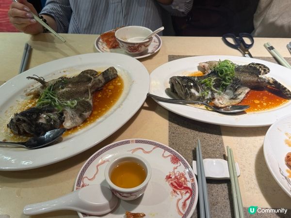 今晚同朋友喺龍珠酒樓食飯，傾吓偈聚吓舊