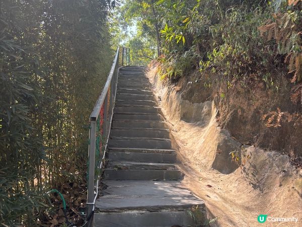 深圳Glamping兩日一夜