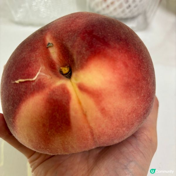 靚靚水蜜桃要輕放唔好撞瘀,如果唔係就嘥晒㗎啦