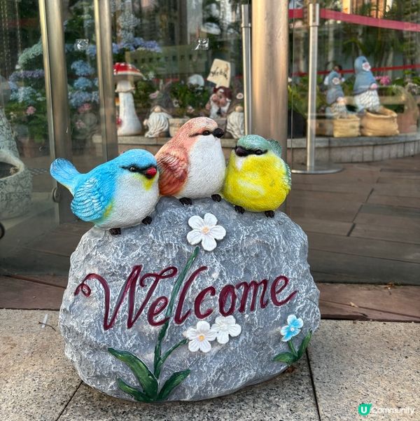 早起的鳥兒有蟲吃