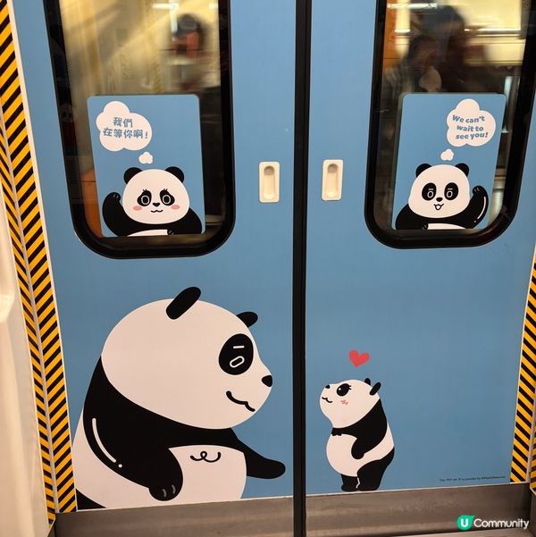 周圍都係熊貓嘅打卡點!如果你都鍾意我嘅分享記住subscri...