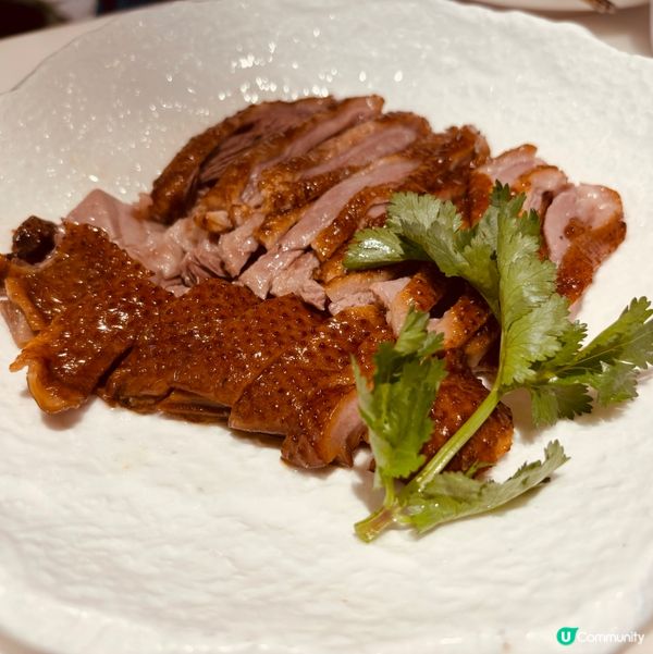 普寧美食之旅🤤！鵝鵝鵝，超滿足！