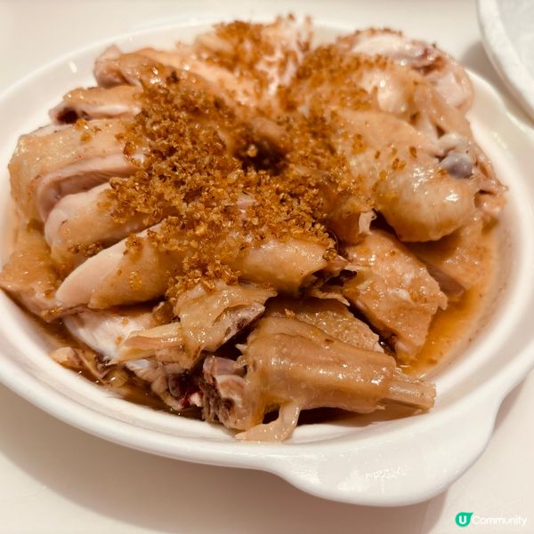 普寧美食之旅🤤！鵝鵝鵝，超滿足！