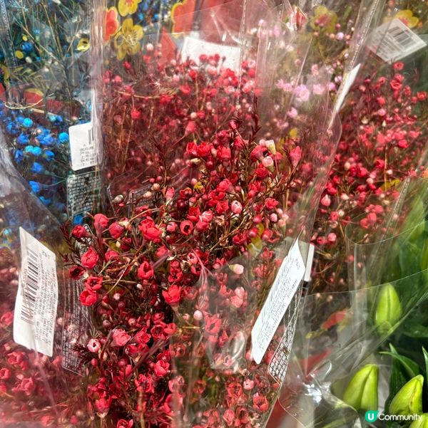 山姆新開嘅分店呀